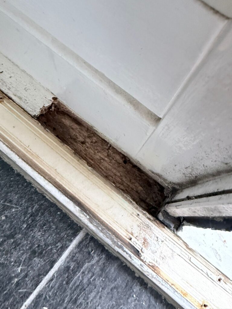 Wit geschilderde kozijnen en voordeur na buitenschilderwerk en houtrotreparatie aan een woning in Egmond-Binnen